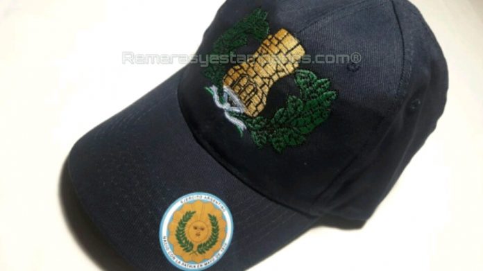 Gorra Cap F1 Bordada